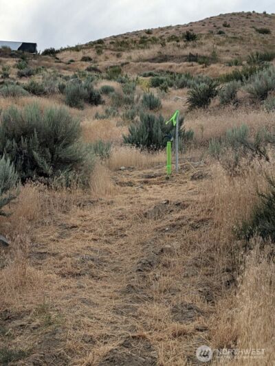 37 Osprey Nest Road , Pateros, WA 98846 - Photo 11