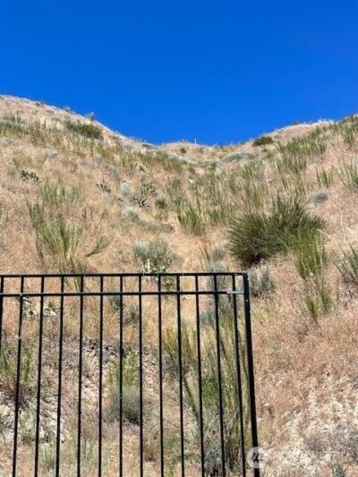 37 Osprey Nest Road , Pateros, WA 98846 - Photo 12