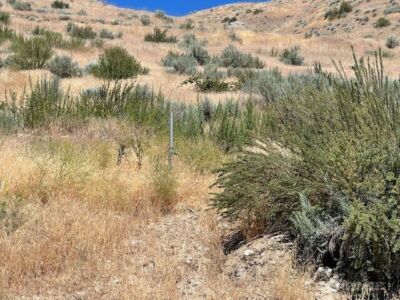 37 Osprey Nest Road , Pateros, WA 98846 - Photo 7