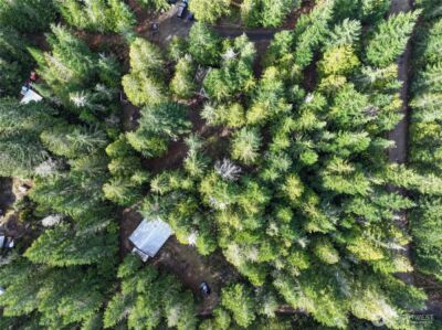 260 NE Kissin Tree Lane , Tahuya, WA 98588 - Photo 26