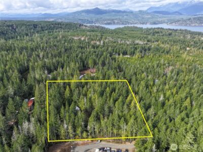 260 NE Kissin Tree Lane , Tahuya, WA 98588 - Photo 8