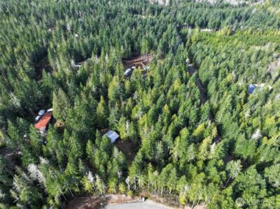 260 NE Kissin Tree Lane , Tahuya, WA 98588 - Photo 9