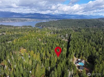 260 NE Kissin Tree Lane , Tahuya, WA 98588 - Photo 10