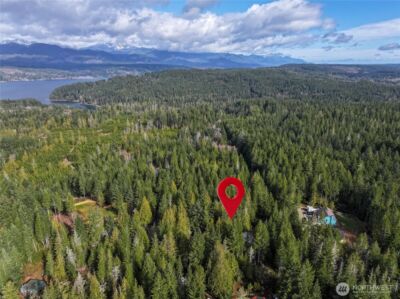 260 NE Kissin Tree Lane , Tahuya, WA 98588 - Photo 11
