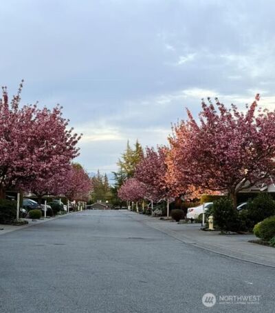 15414 35th Avenue W #54, Lynnwood, WA 98087 - Photo 2