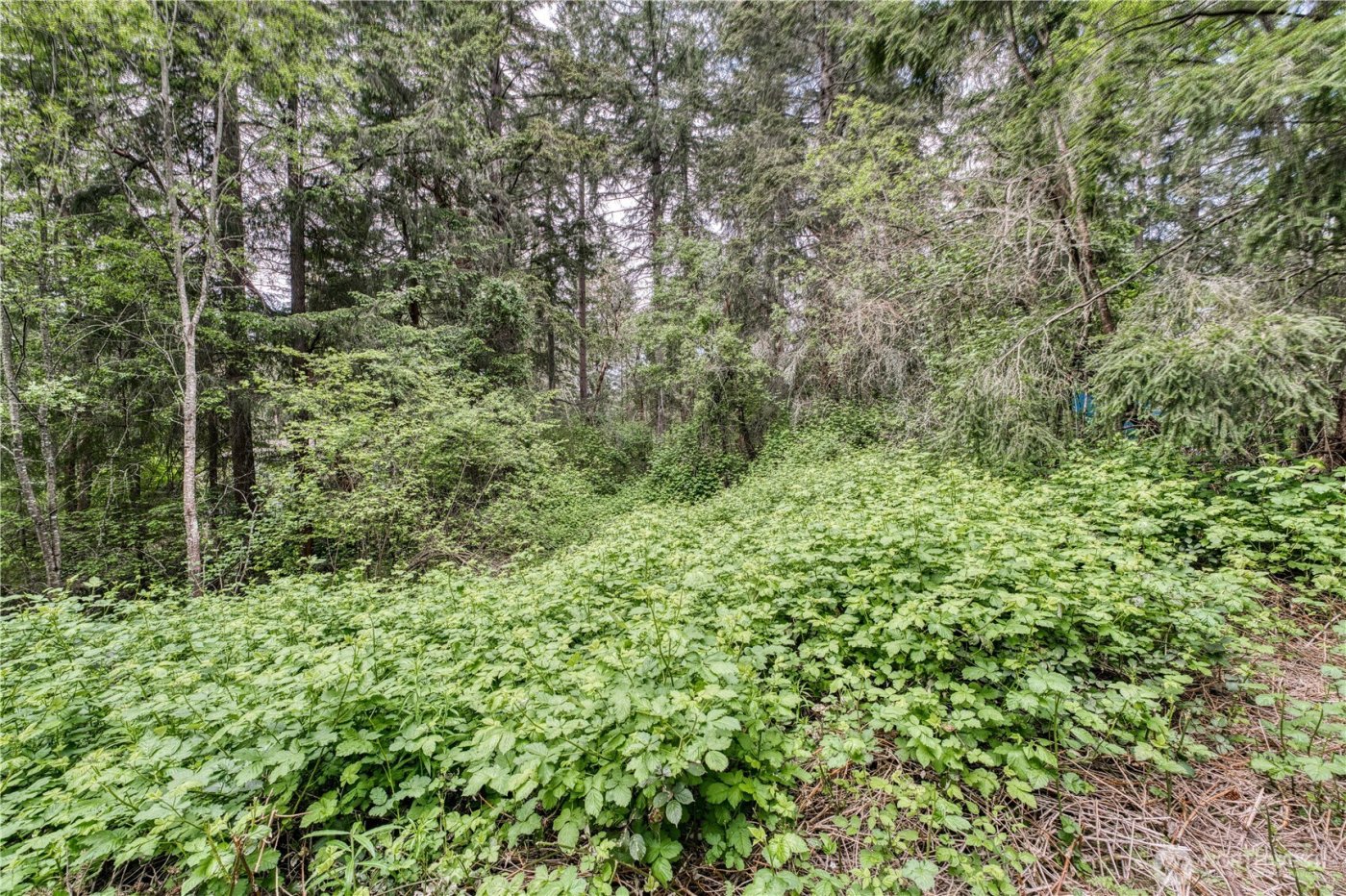 3214 77th Avenue NW, Gig Harbor, WA 98335