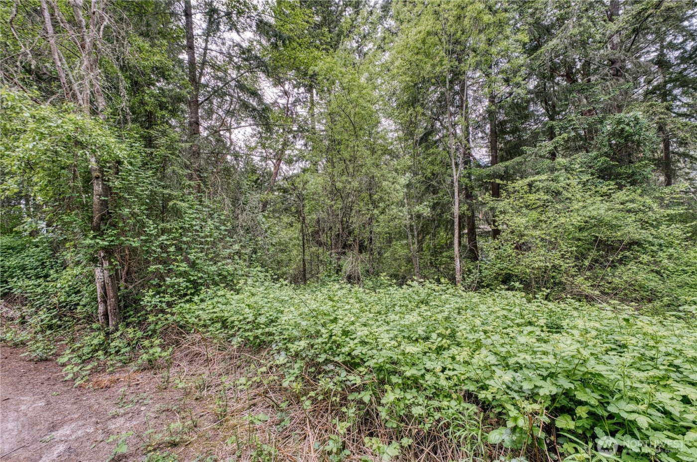 3214 77th Avenue NW, Gig Harbor, WA 98335