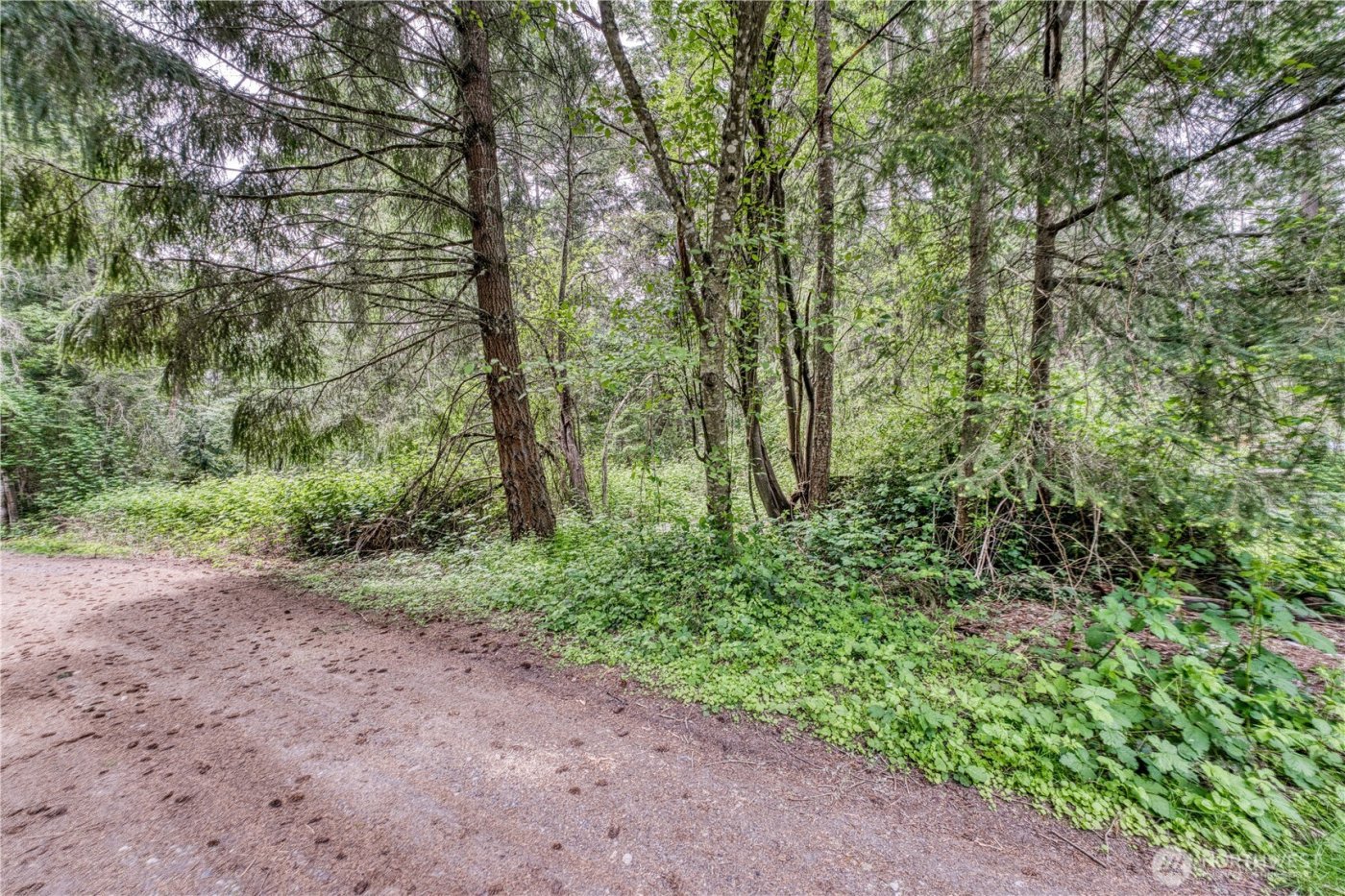 3214 77th Avenue NW, Gig Harbor, WA 98335