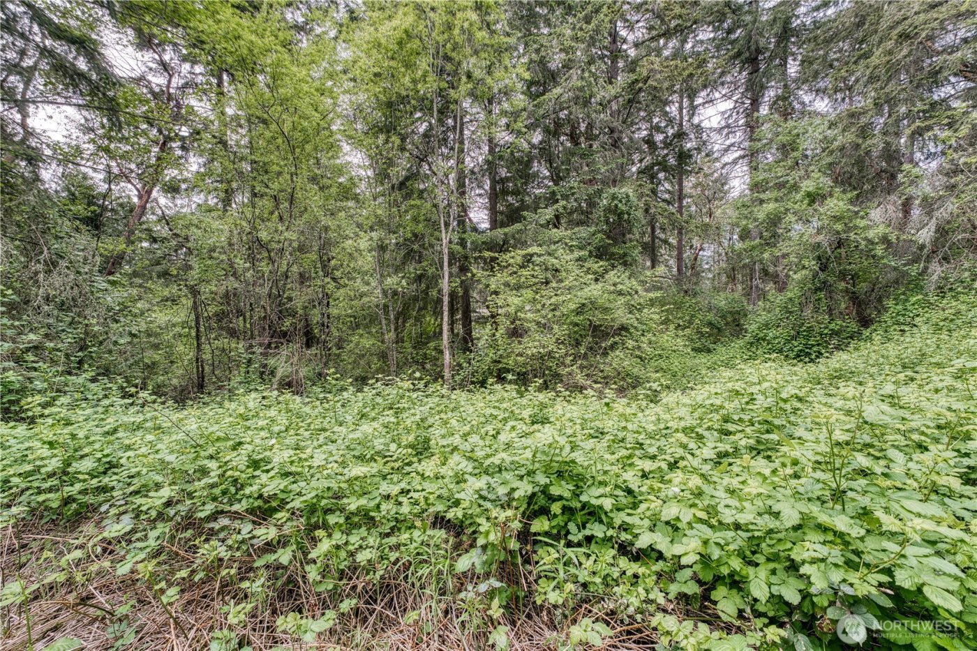 3214 77th Avenue NW, Gig Harbor, WA 98335