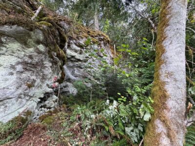 4 Skinner Road , Randle, WA 98377 - Photo 12