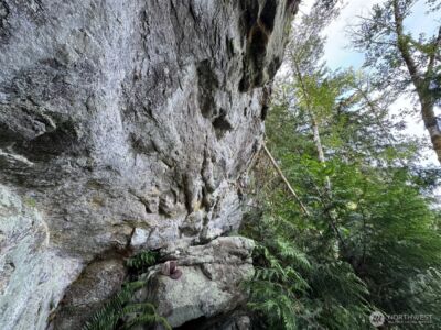 4 Skinner Road , Randle, WA 98377 - Photo 13