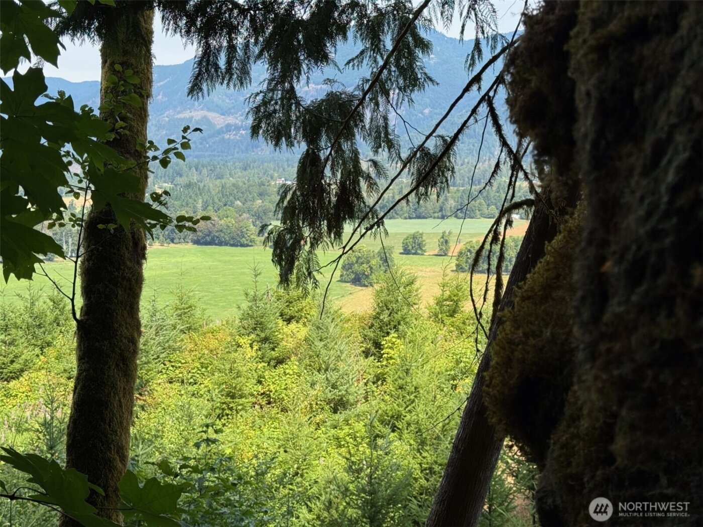 4 Skinner Road , Randle, WA 98377