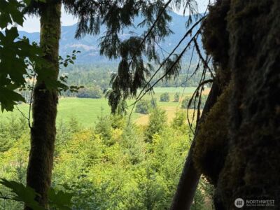 4 Skinner Road , Randle, WA 98377 - Photo 14