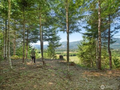 4 Skinner Road , Randle, WA 98377 - Photo 15