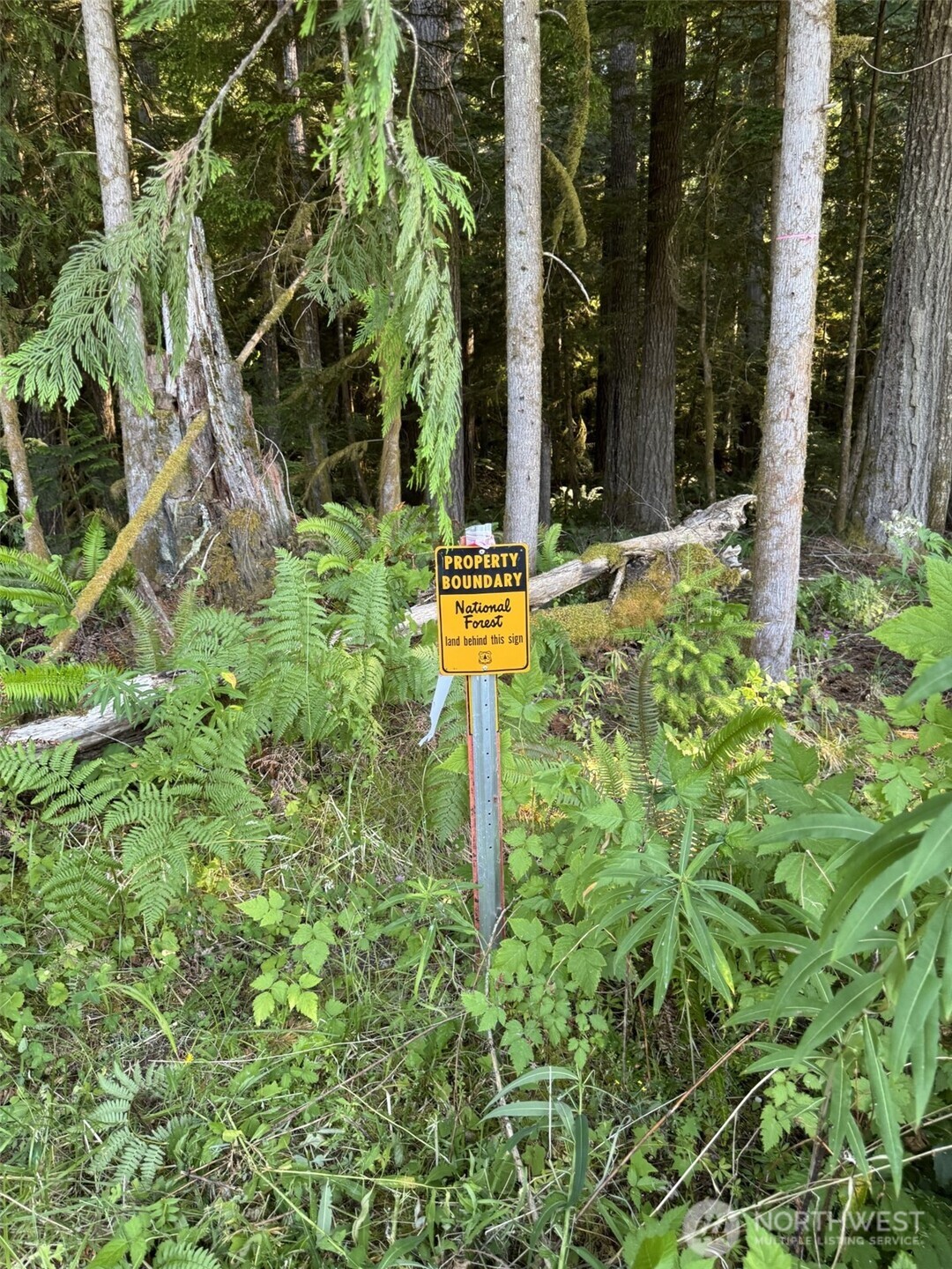 4 Skinner Road , Randle, WA 98377