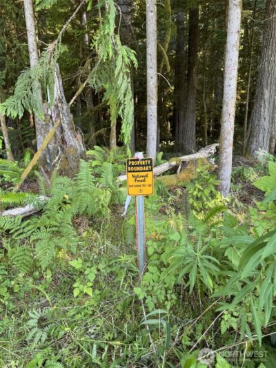 4 Skinner Road , Randle, WA 98377 - Photo 16