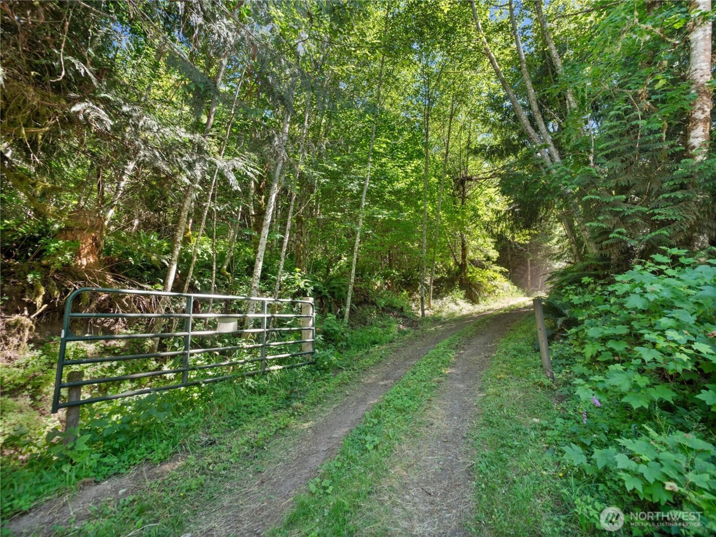 4 Skinner Road , Randle, WA 98377