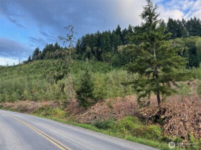 4 Skinner Road , Randle, WA 98377 - Photo 2