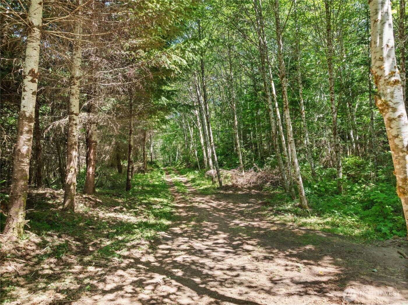 4 Skinner Road , Randle, WA 98377