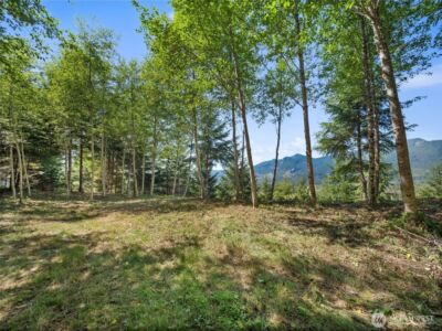 4 Skinner Road , Randle, WA 98377 - Photo 23