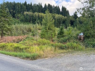 4 Skinner Road , Randle, WA 98377 - Photo 3