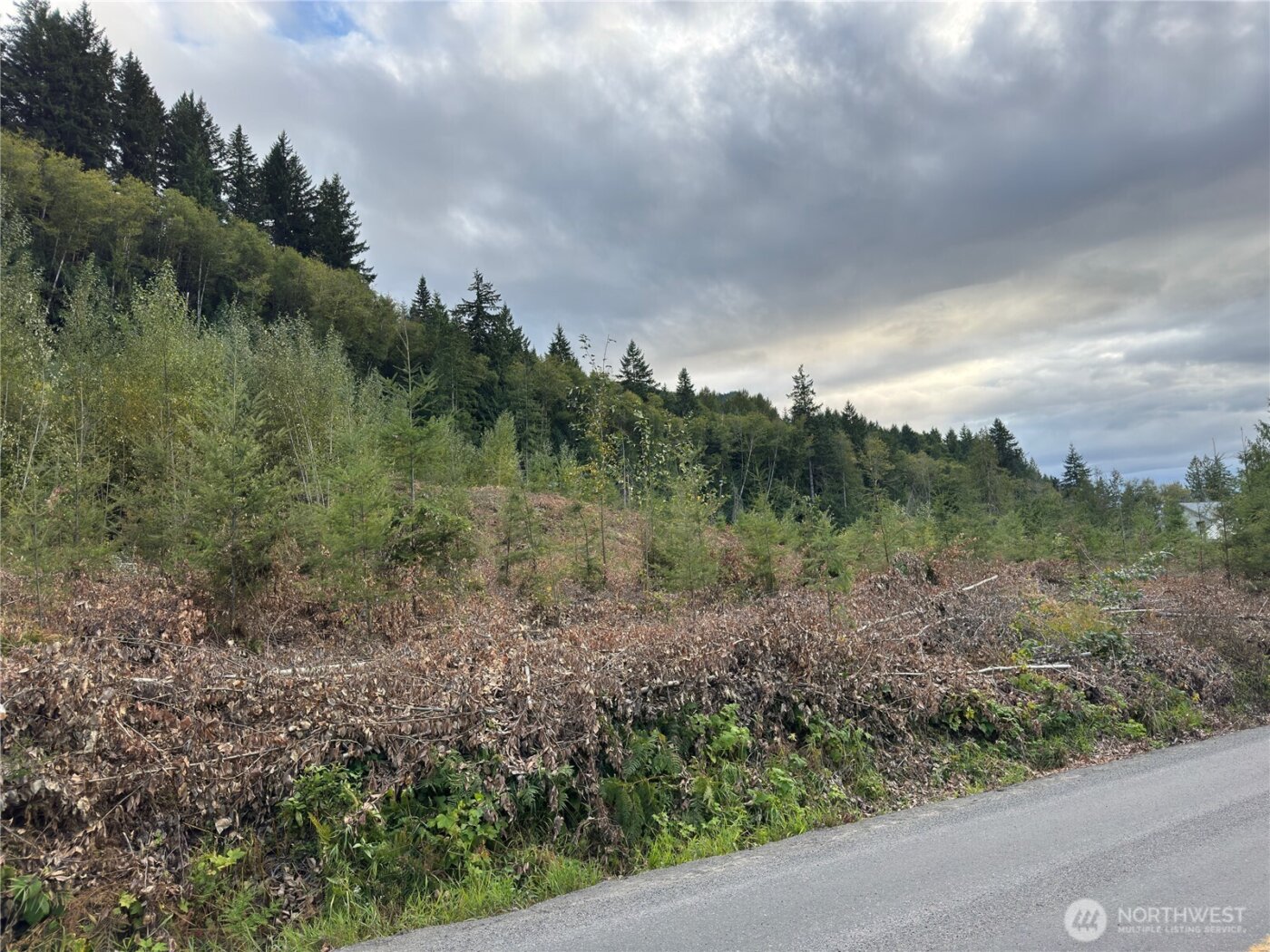 4 Skinner Road , Randle, WA 98377