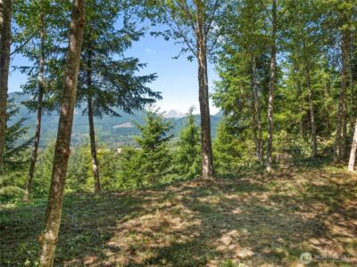 4 Skinner Road , Randle, WA 98377 - Photo 30