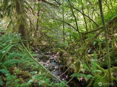 4 Skinner Road , Randle, WA 98377 - Photo 31