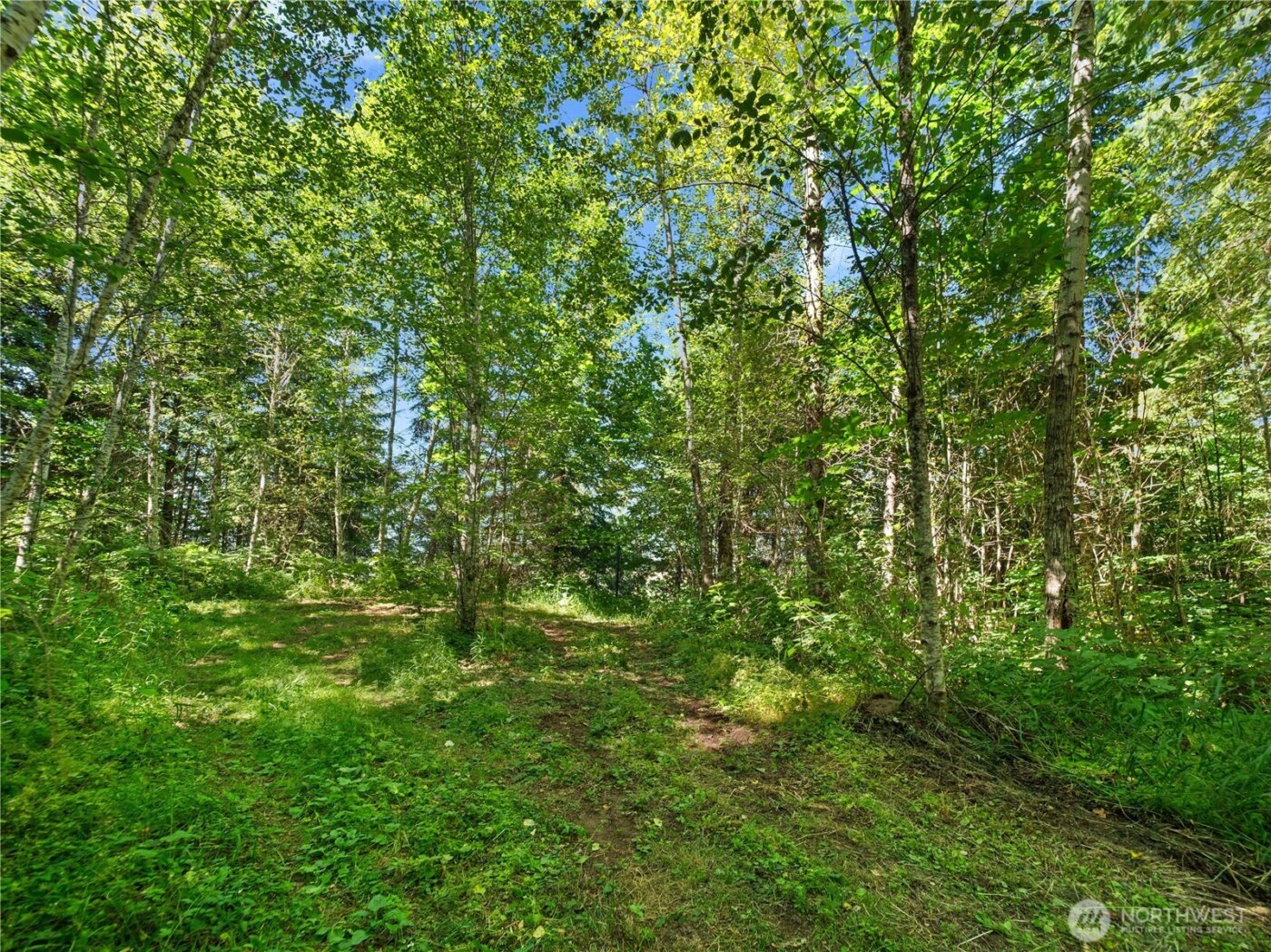 4 Skinner Road , Randle, WA 98377