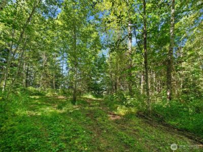 4 Skinner Road , Randle, WA 98377 - Photo 34