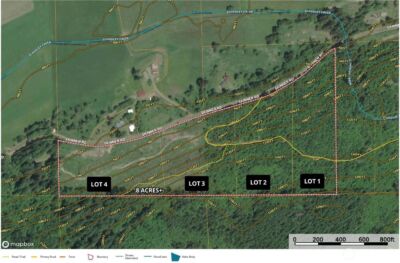 4 Skinner Road , Randle, WA 98377 - Photo 35