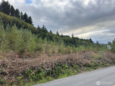 4 Skinner Road , Randle, WA 98377 - Photo 4