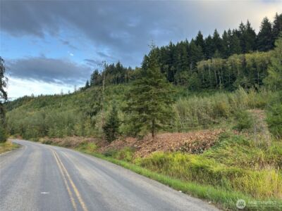 4 Skinner Road , Randle, WA 98377 - Photo 5