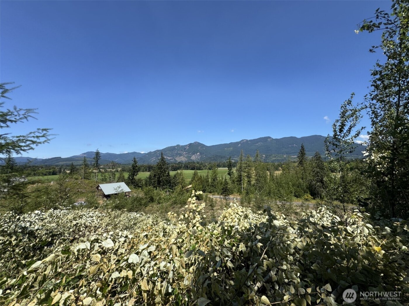 4 Skinner Road , Randle, WA 98377