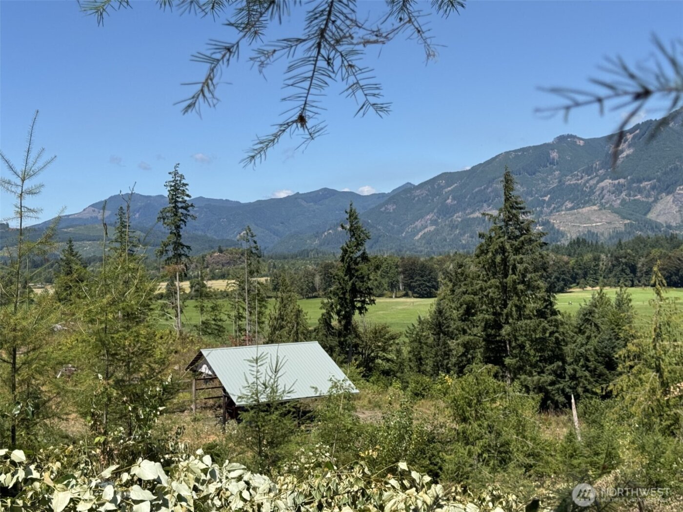 4 Skinner Road , Randle, WA 98377