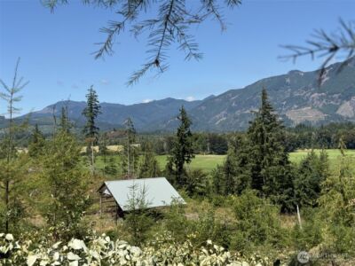 4 Skinner Road , Randle, WA 98377 - Photo 9