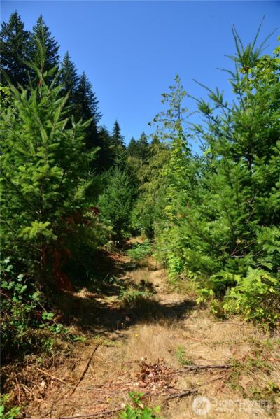 4 Skinner Road , Randle, WA 98377 - Photo 10