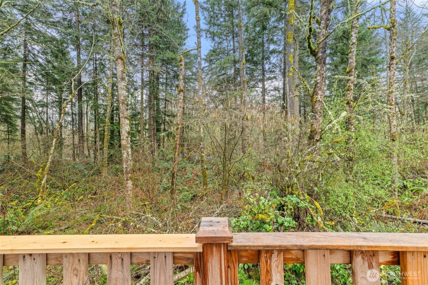 12724 159th Street E, Puyallup, WA 98374