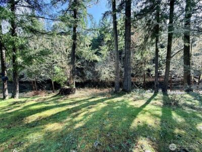 17838 Pondside Court SE, Yelm, WA 98597 - Photo 26