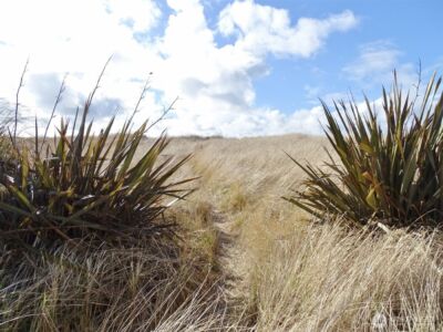 1335 Ocean Shores Boulevard SW #S42, Ocean Shores, WA 98569 - Photo 35