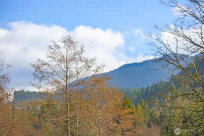1422 Grauel Ramapo Road , Port Angeles, WA 98363 - Photo 9