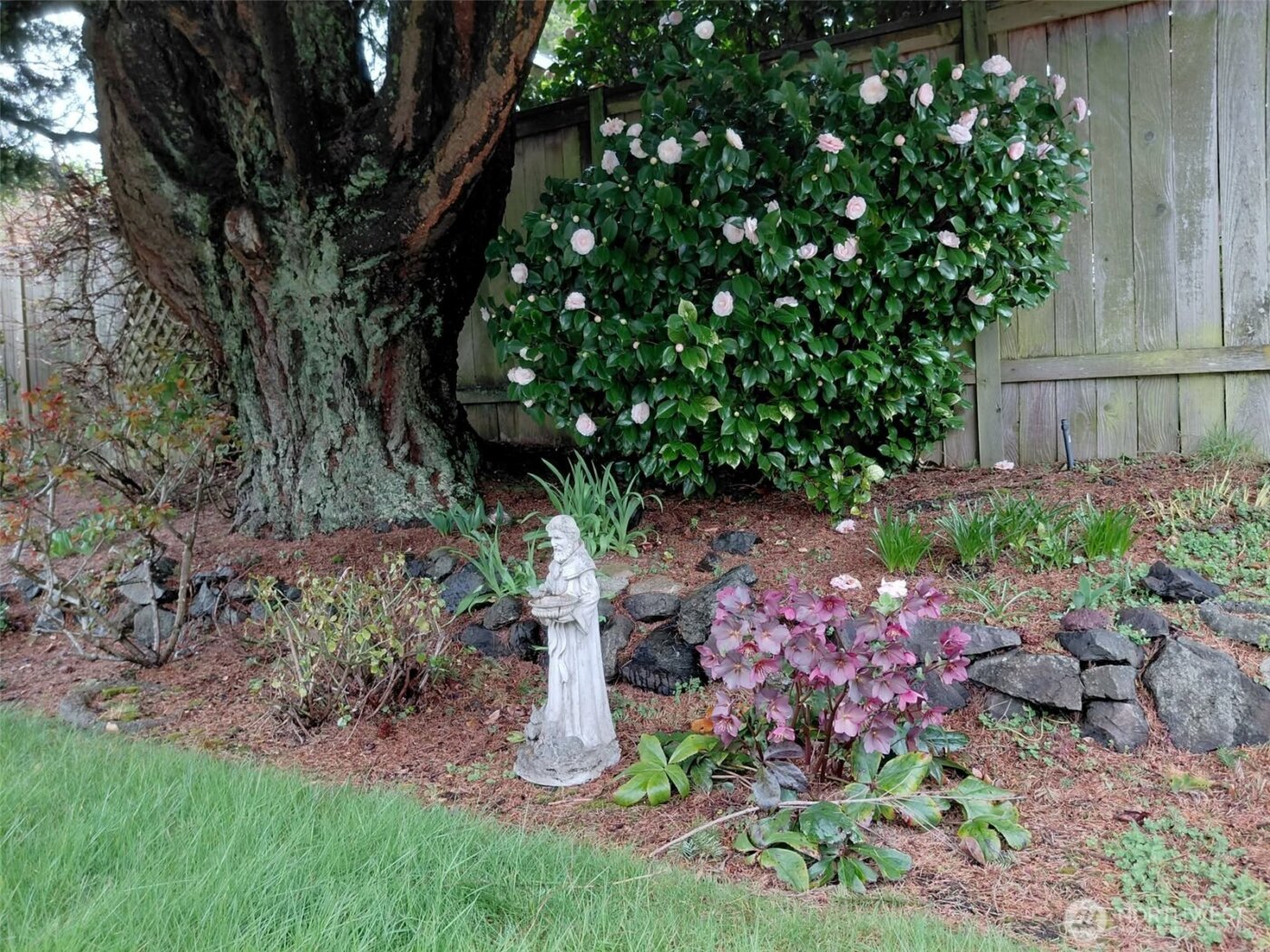 7301 S 16th Street , Tacoma, WA 98465