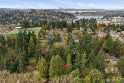 339 108th Avenue SE, Bellevue, WA 98004 - Photo 4