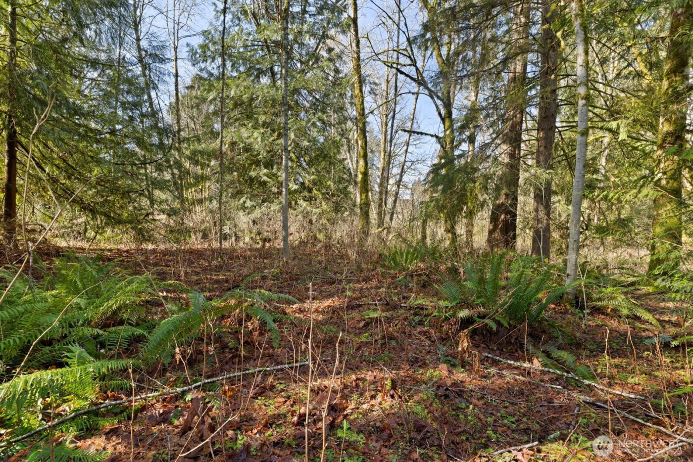 41971 Cedar Street , Concrete, WA 98237