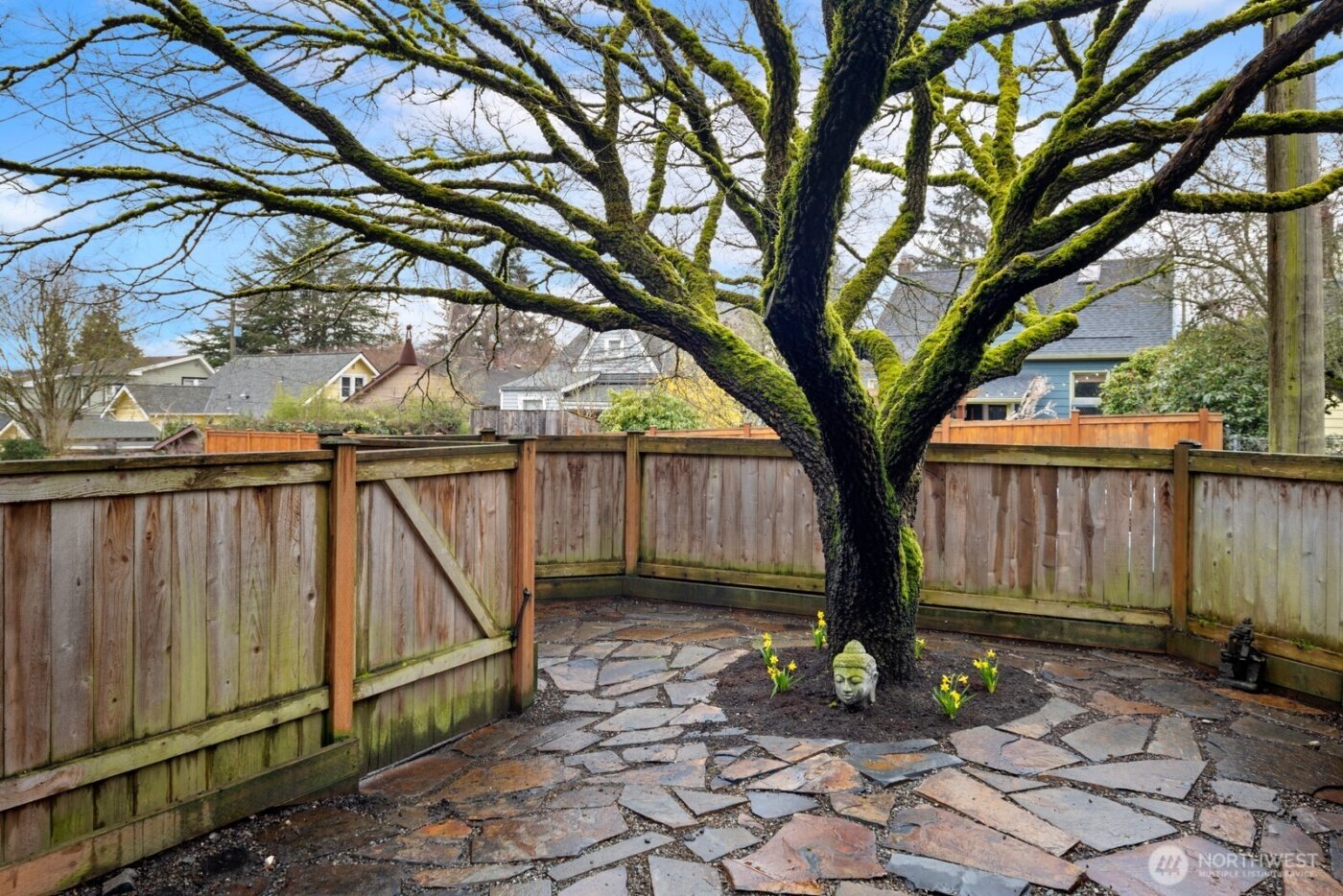 7038 Cleopatra Place NW, Seattle, WA 98117