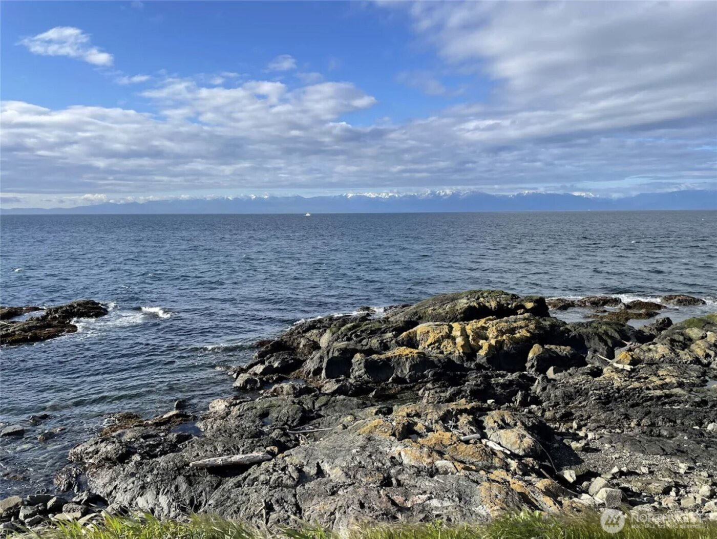 110 174th Place NE, Bellevue, WA 98008