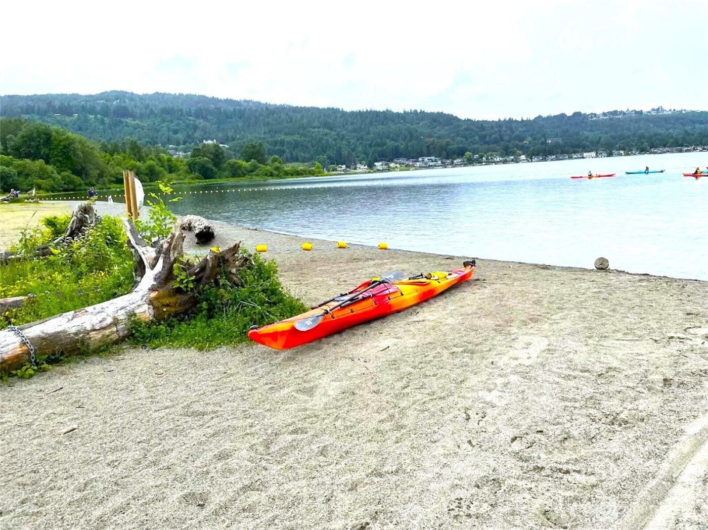 110 174th Place NE, Bellevue, WA 98008