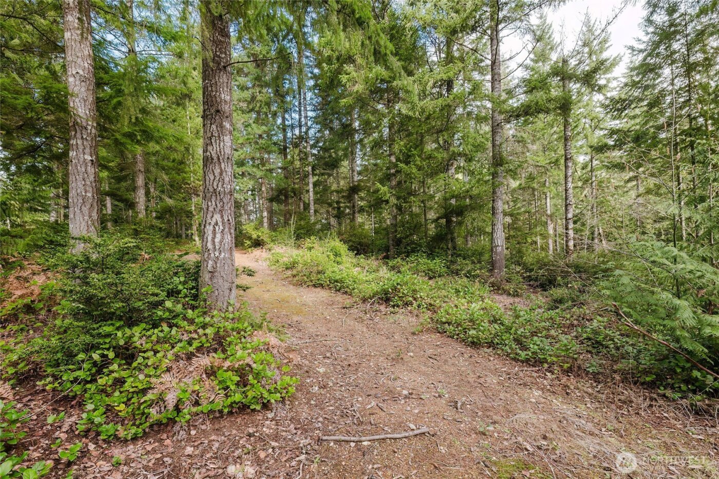 8625 Conwhit Lane SW, Port Orchard, WA 98367