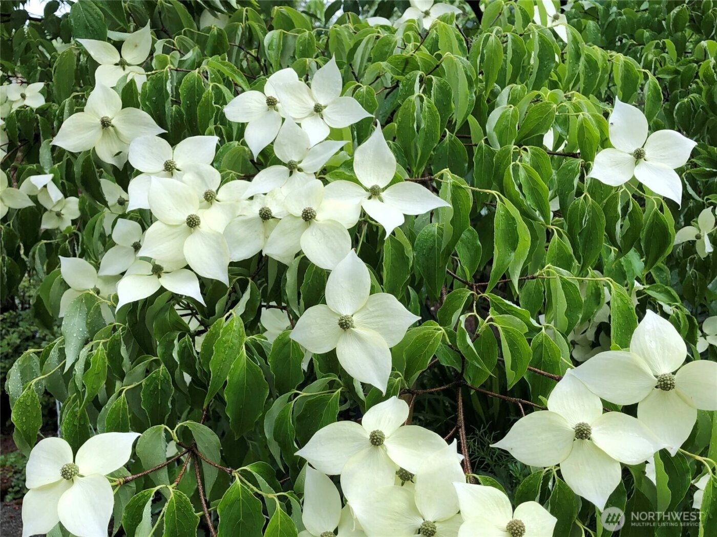 8625 Conwhit Lane SW, Port Orchard, WA 98367