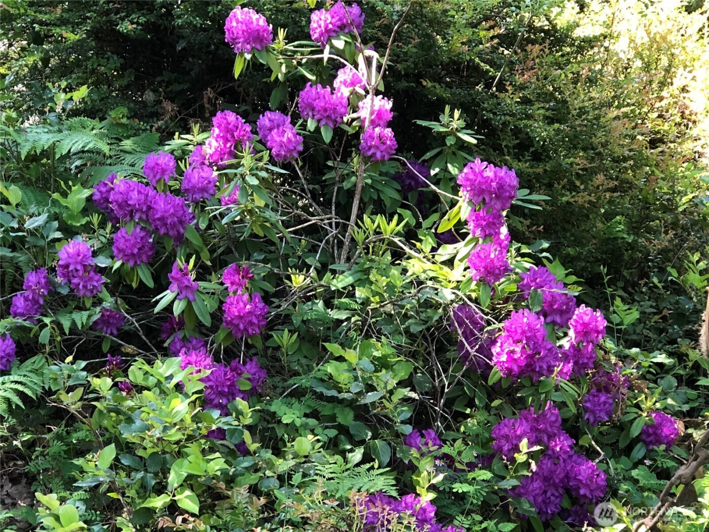 8625 Conwhit Lane SW, Port Orchard, WA 98367